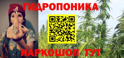 соль ск Краснодар
