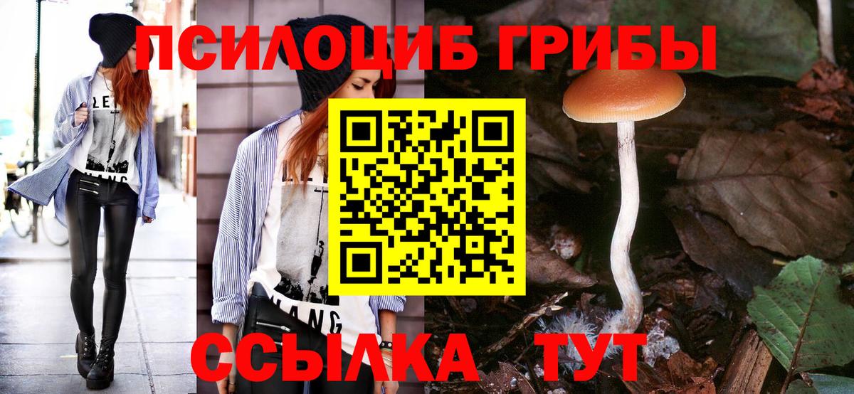 Галлюциногенные грибы Magic Shrooms Златоуст