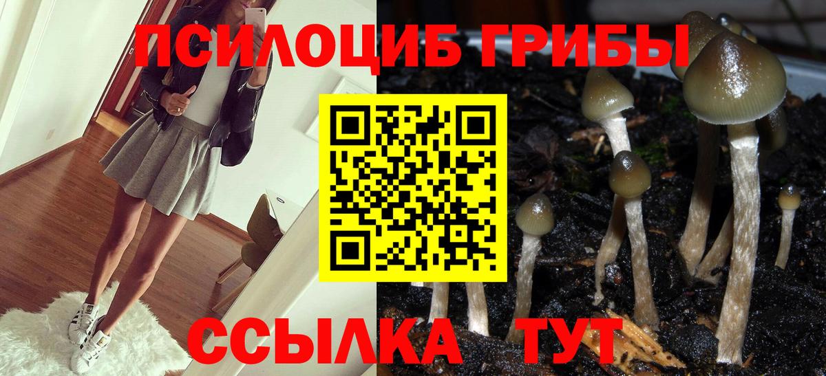 Псилоцибиновые грибы мицелий  Вход с VPN  Златоуст 